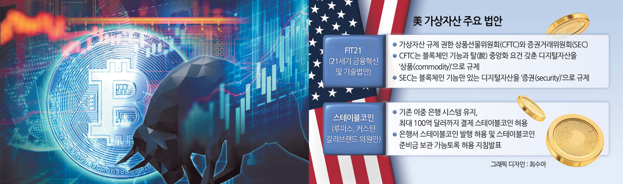 디지털 자산 규제와 정치권의 움직임