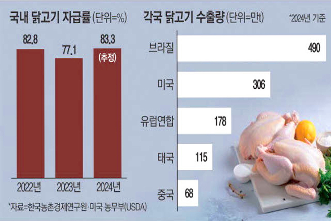 2022년, 2023년, 2024년 국내 닭고기 자급률(82.8%, 77.1%, 83.3% 추정치)과 2024년 기준 브라질(490만t), 미국(306만t), 유럽연합(178만t), 태국(115만t), 중국(68만t)의 닭고기 수출량을 비교한 그래프와 생닭 사진.