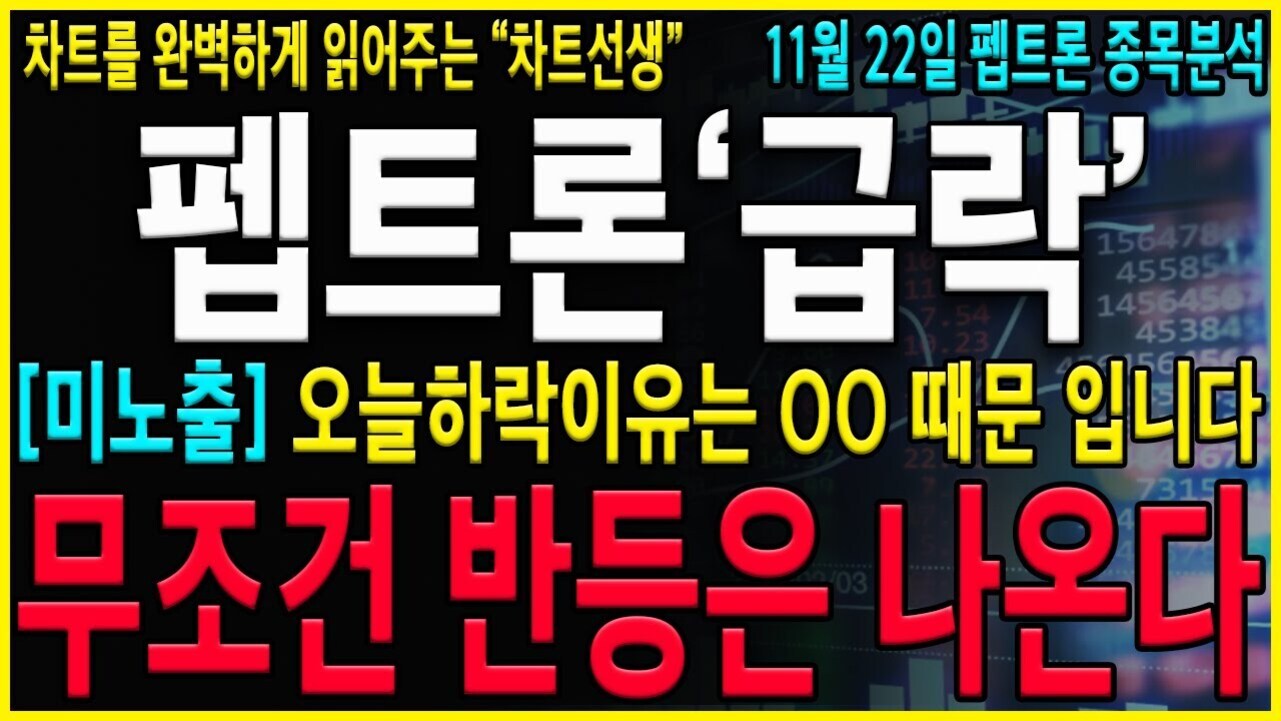 검은 배경에 노란색, 하늘색, 흰색, 빨간색 글씨로 '차트를 완벽하게 읽어주는 차트선생 11월 22일 펩트론 종목분석 펩트론 급락 [미노출] 오늘하락이유는 OO 때문 입니다 무조건 반등은 나온다'라고 적혀 있음. 배경에는 흐릿한 주식 차트와 숫자가 보임.