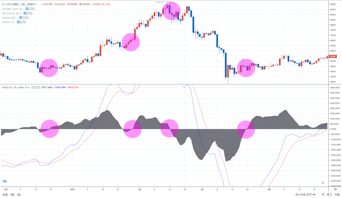 LTC/KRW 일간 차트와 MACD 지표가 표시되어 있으며, 주요 변곡점에 분홍색 원이 강조되어 있다.
